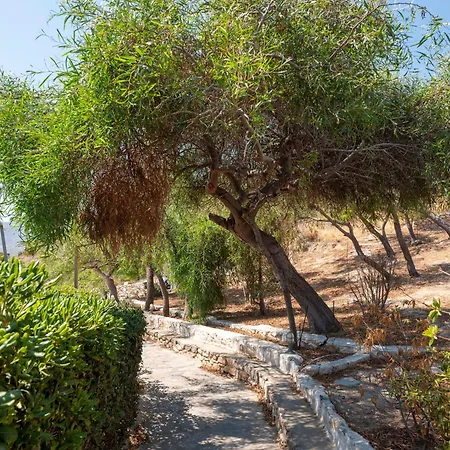 度假居 Elena's Traditional Dreamhouse